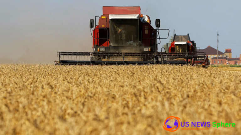 Grain Import: Central European Trio Defies EU by Extending Ukrainian Grain Import Ban