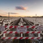 Bird Flu Detected in Delaware Poultry Flock; Heightened Vigilance Urged