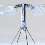 MIT’s Tiny Insect Drones Achieve 100x Longer Flight Times