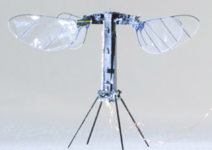 Read more about the article MIT’s Tiny Insect Drones Achieve 100x Longer Flight Times