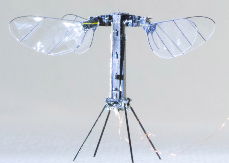 MIT's Tiny Insect Drones Achieve 100x Longer Flight Times