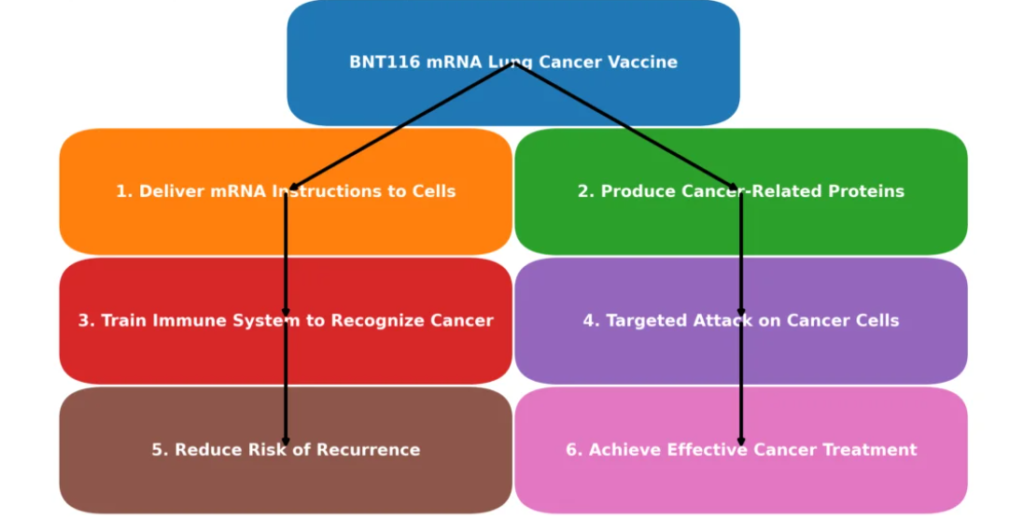 New mRNA Lung Cancer Vaccine Enters Clinical Trials Across Seven Countries