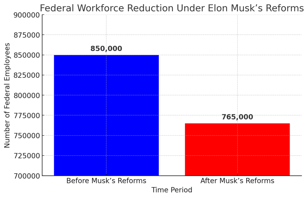 Elon Musk's New Role in Government