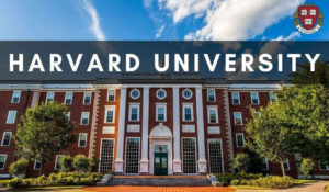 Read more about the article Trump’s Attacks on Harvard Could Cripple U.S. Research, Warns Governor Healey
