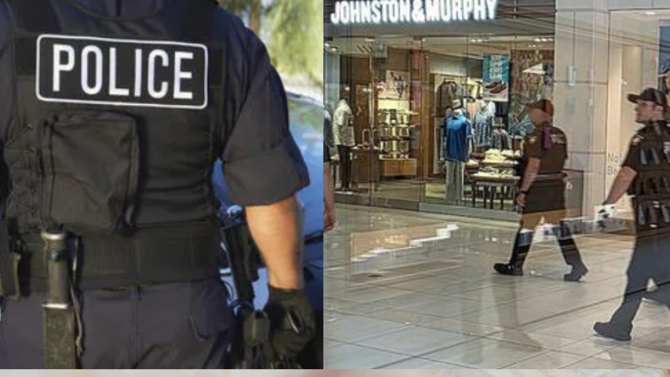 Read more about the article Menlo Park Mall Brawl: 7 Juveniles Arrested After TikTok Meet-Up Chaos