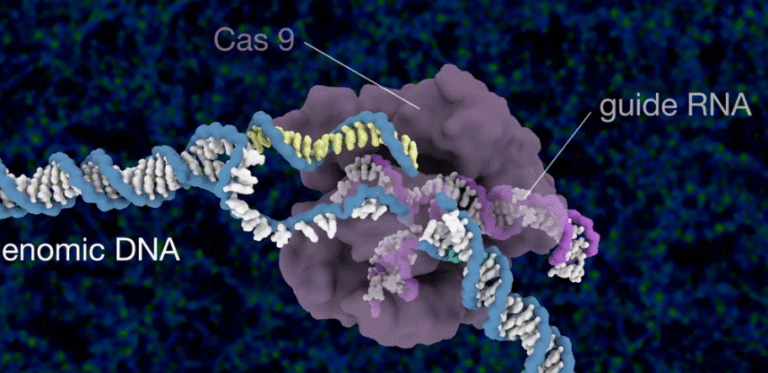 CRISPR Explained: How Gene Editing Will Transform Human Health by 2030