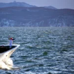 Tsunami alert after powerful earthquakes hits Russia’s Pacific coast