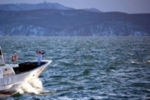 Read more about the article Tsunami alert after powerful earthquakes hits Russia’s Pacific coast
