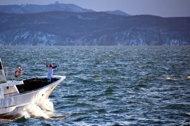 Tsunami alert after powerful earthquakes hits Russia’s Pacific coast