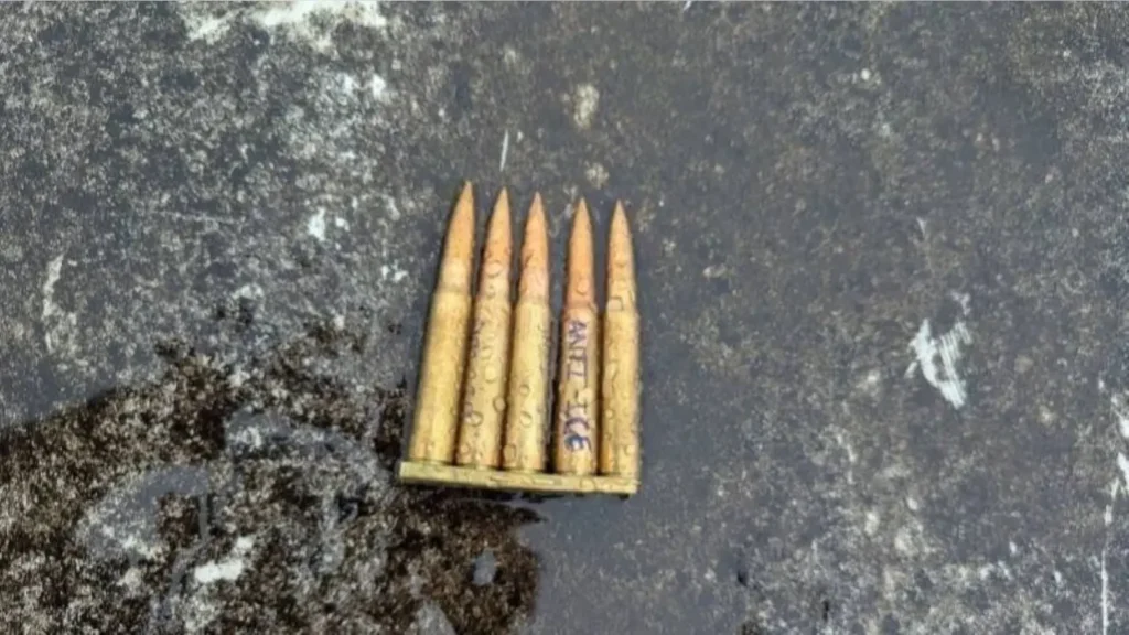 ice rounds dallas shooting