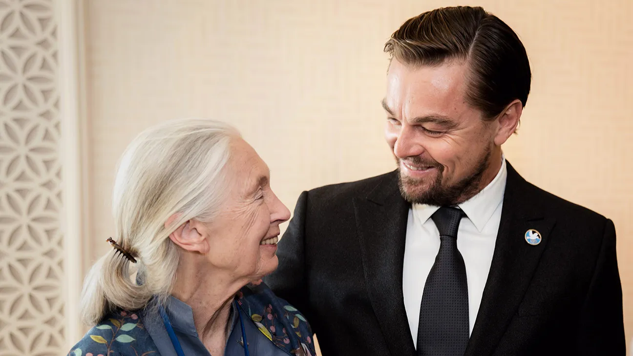 Read more about the article Jane Goodall Dies at 91 — Tributes From DiCaprio & World