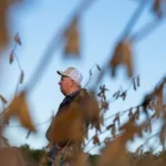 Rural Farmers Who Backed Trump Now Face Bankruptcy as Tariffs and Rising Costs Take a Brutal Toll