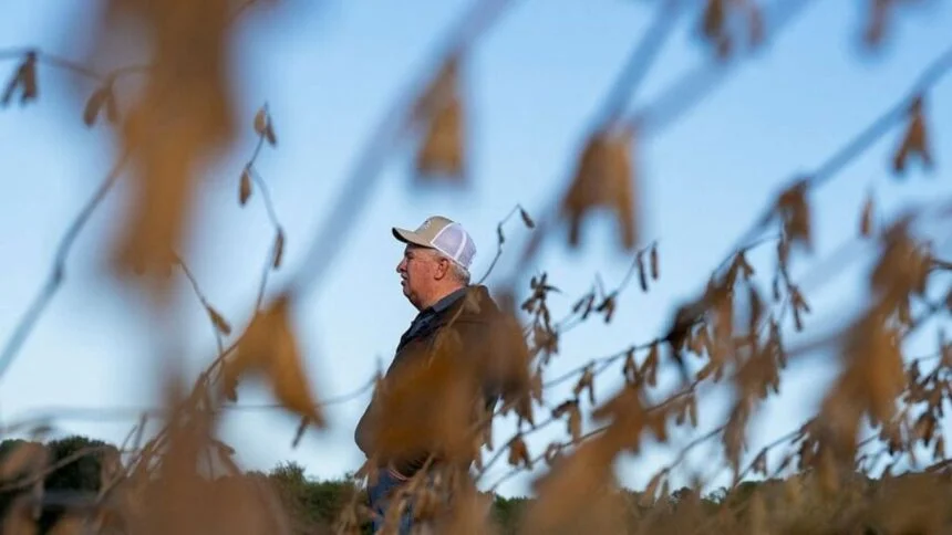 You are currently viewing Rural Farmers Who Backed Trump Now Face Bankruptcy as Tariffs and Rising Costs Take a Brutal Toll