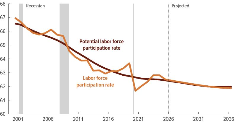 61882 labor force participation