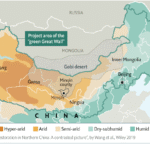 China Plants 66 Billion Trees, Turning Harsh Taklamakan Desert Into Powerful Carbon Sink