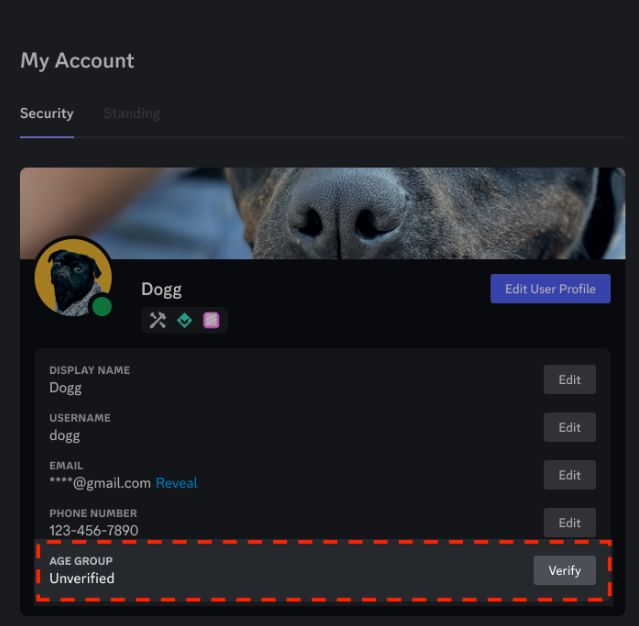 Screenshot 2026 02 19 174422