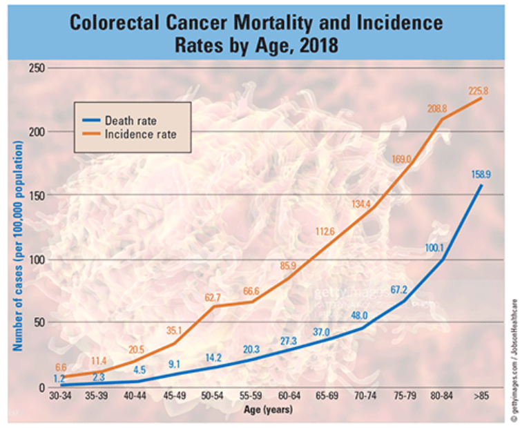 Screenshot 2026 02 21 070648