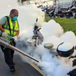 Chikungunya Symptoms, Travel Insurance Coverage, and CDC Guidelines Explained