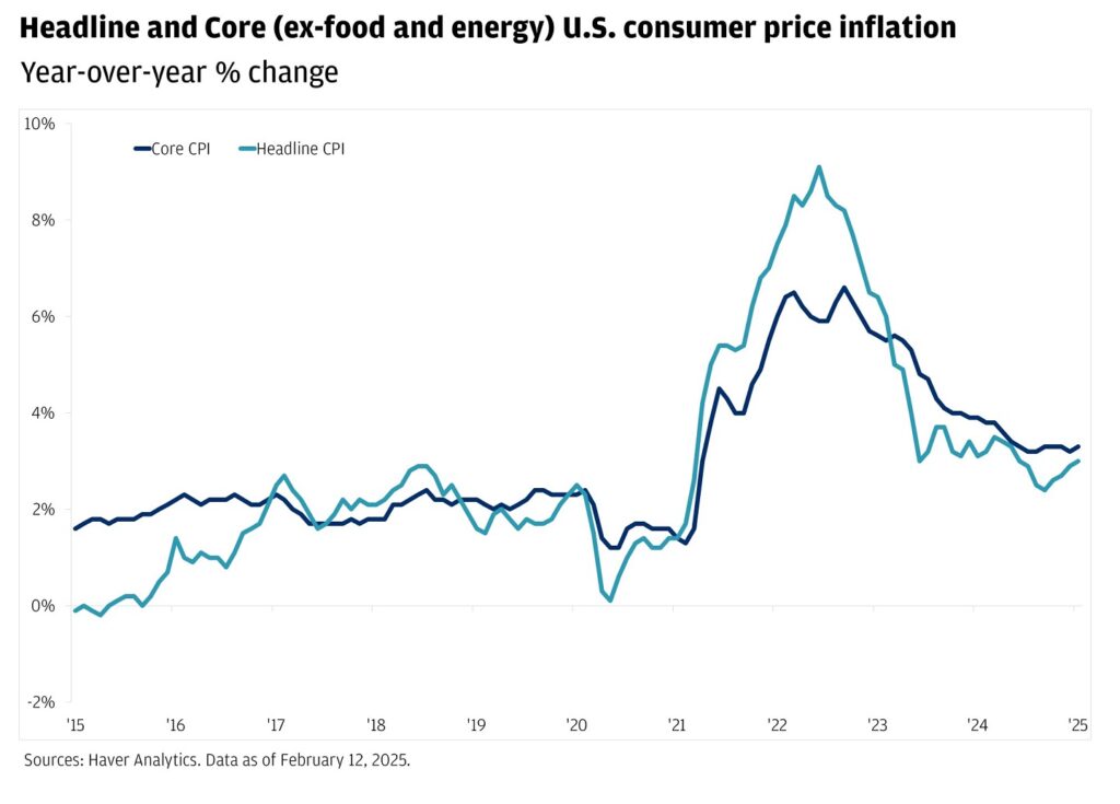 cpi report january 2025