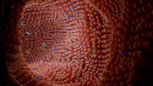 Read more about the article Western Babies Missing Key Gut Bacteria Linked to Lifelong Health Risks, Scientists Warn