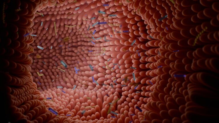 Western Babies Missing Key Gut Bacteria Linked to Lifelong Health Risks, Scientists Warn