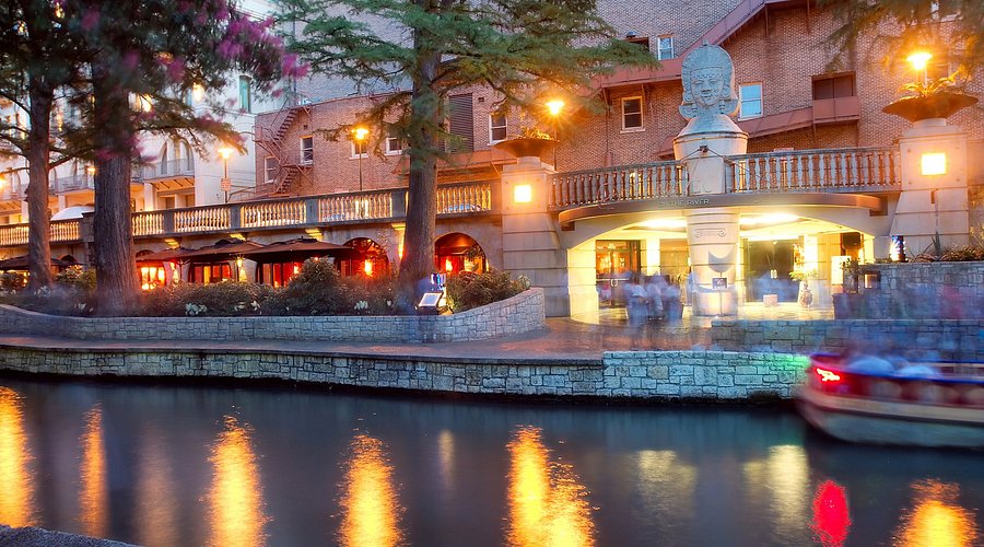 front of iron cactus