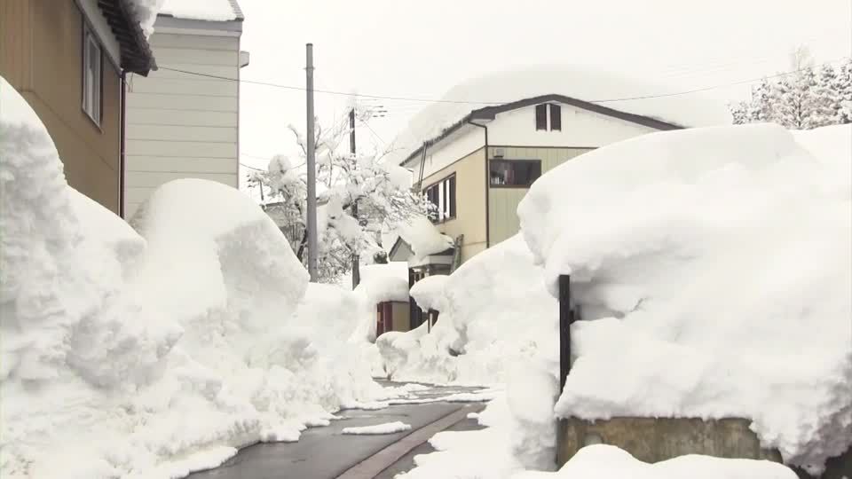 Japan Snow Disaster: 35 Dead & Nearly 400 Injured as Avalanche Risks Rise