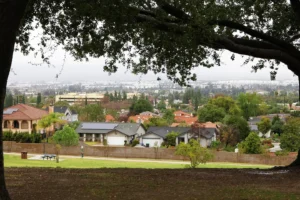 Read more about the article Blue Zone Loma Linda: Breaking Down Why This California Town Lives Decades Longer