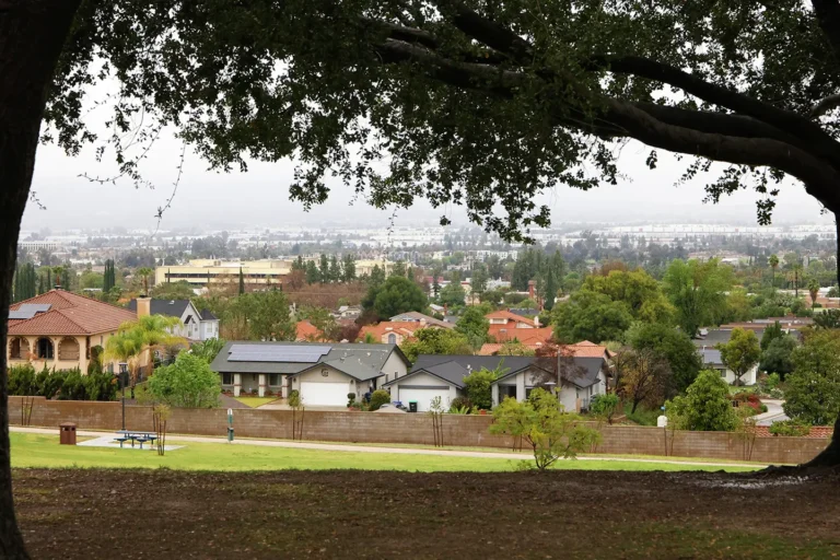 Blue Zone Loma Linda: Breaking Down Why This California Town Lives Decades Longer