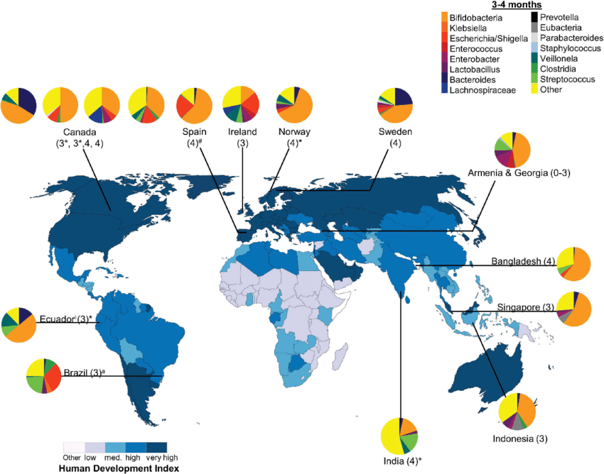 ntestinal bacteria composition in infants aged 3 4 months from diverse populations around