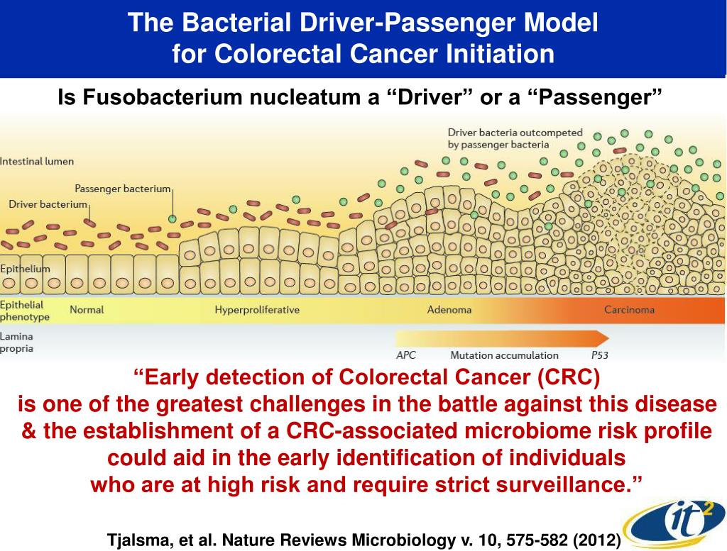 the bacterial driver passenger model for colorectal cancer initiation l