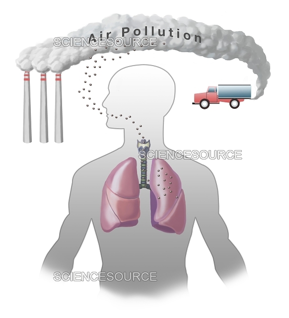 1618949 air pollution and lungs