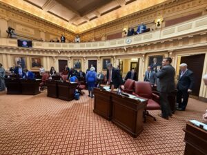 Read more about the article Trump-Backed Voter ID Bill Ignites Explosive Senate Showdown, Raising Fears Over Future U.S. Elections