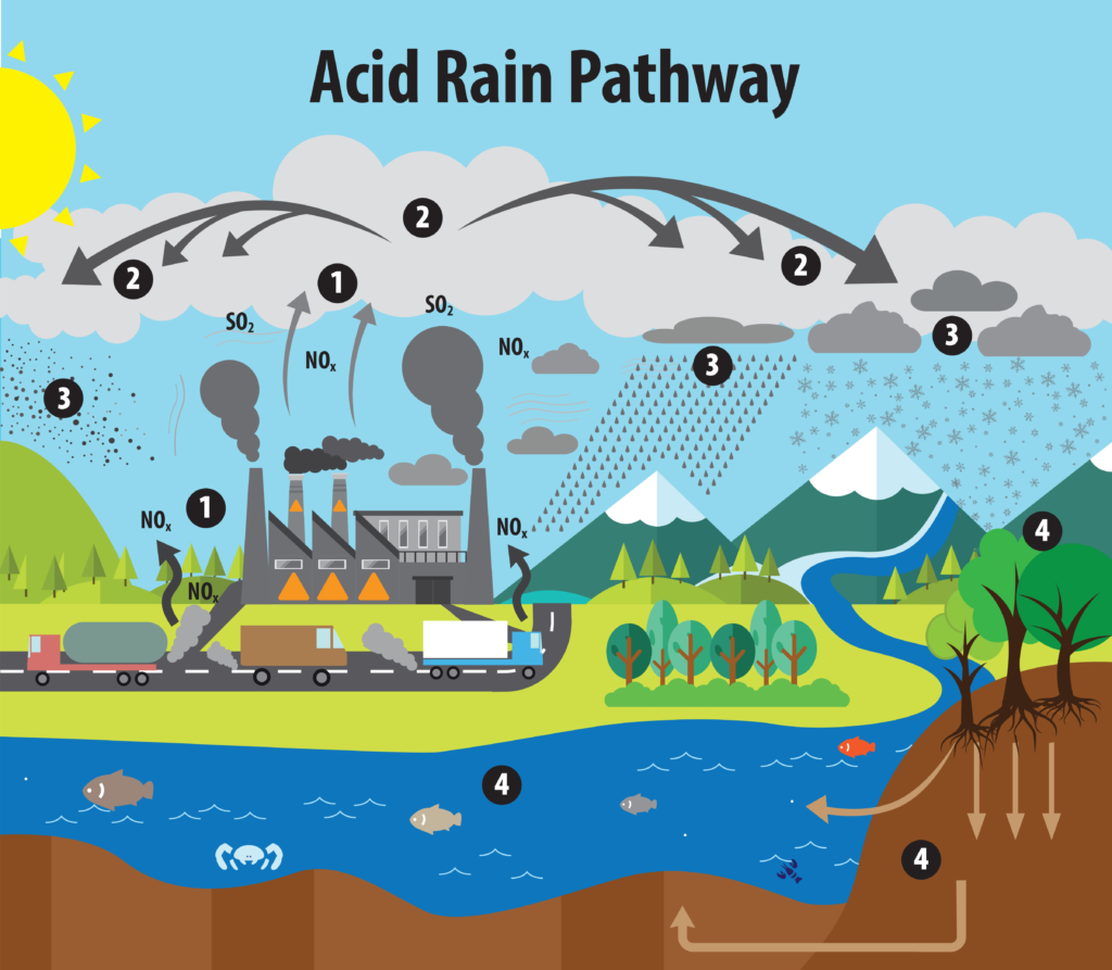acidrainpathway