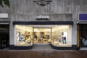 Read more about the article Allbirds Sold for Just $39 Million — What This Collapse Teaches Investors About Startup Valuations