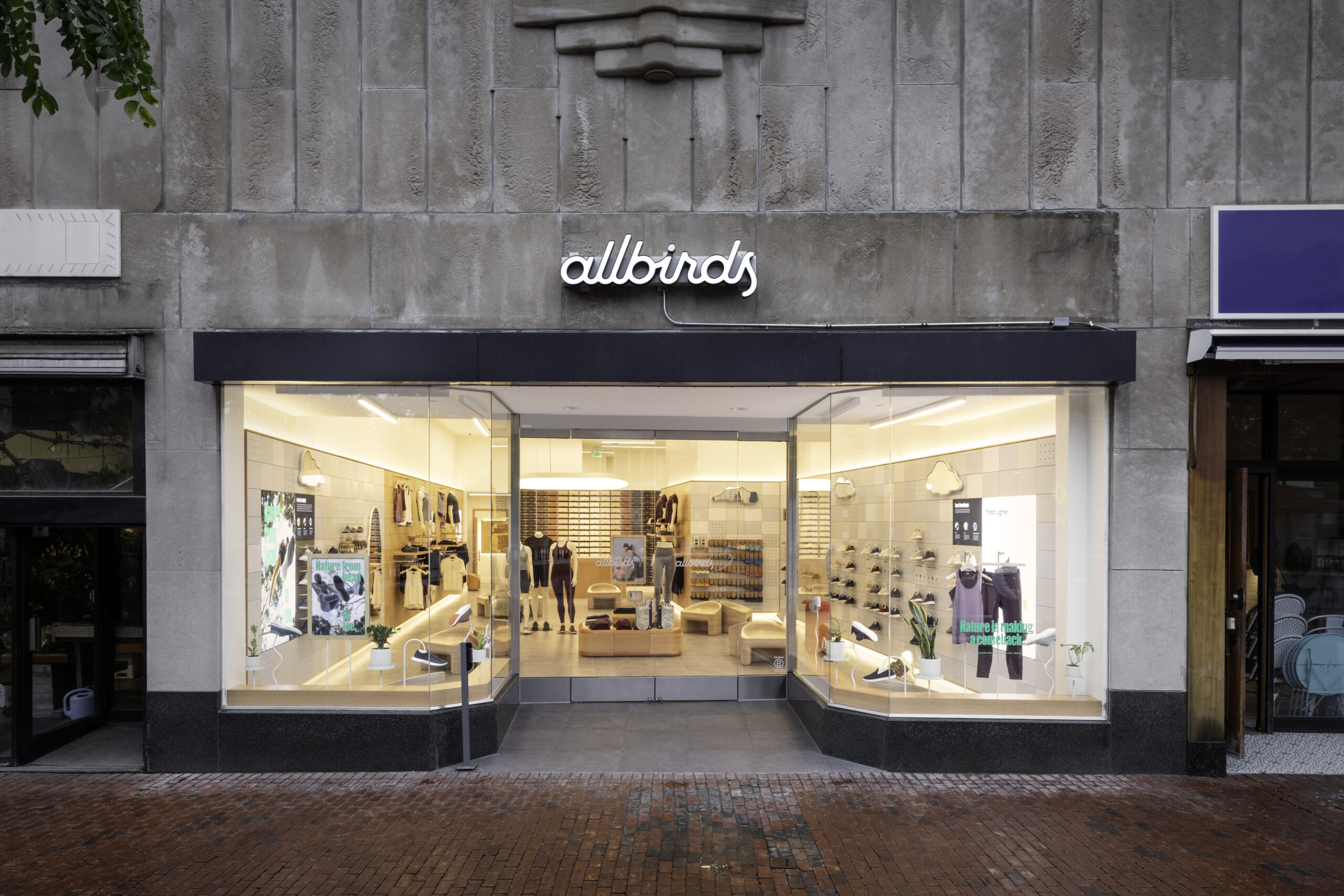 Read more about the article Allbirds Sold for Just $39 Million — What This Collapse Teaches Investors About Startup Valuations