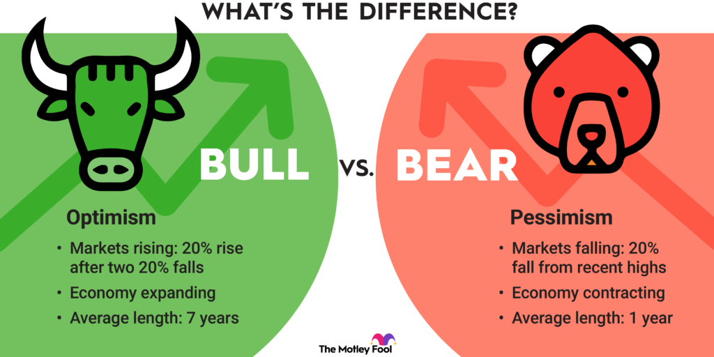 bull vs bear market infographic