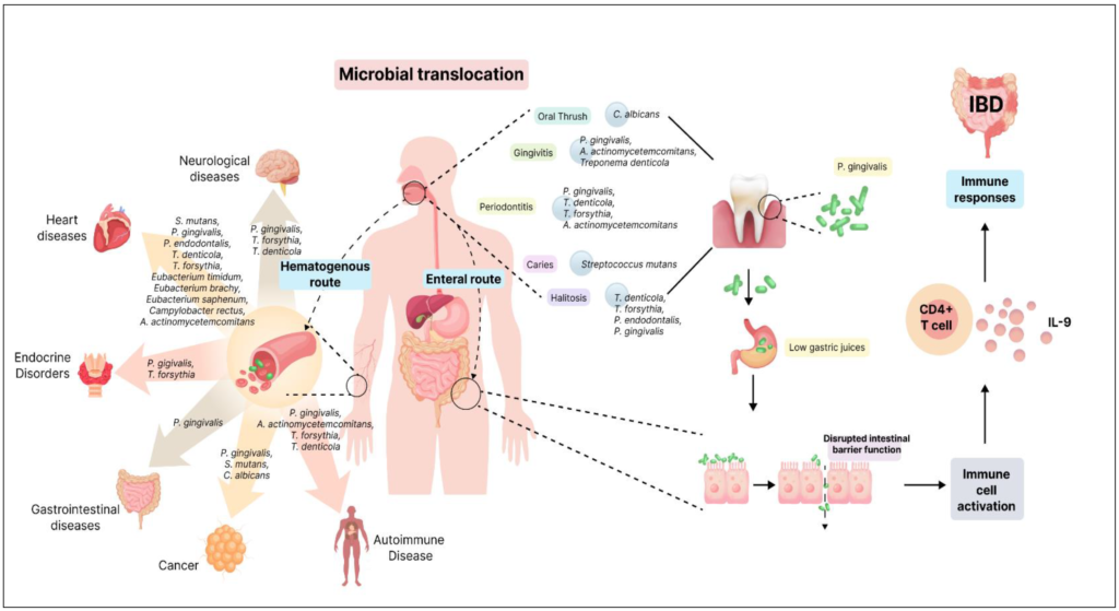 microorganisms 12 01797 g001