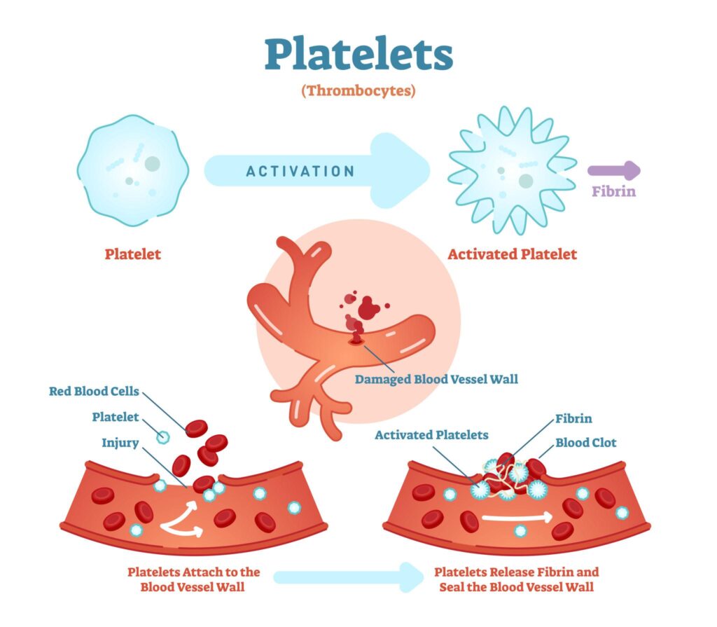 Breakthrough Blood Clotting Research at McGill University: A Game-Changer for Global Health