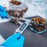 Chocolate certification standards are reshaping how cacao is evaluated worldwide