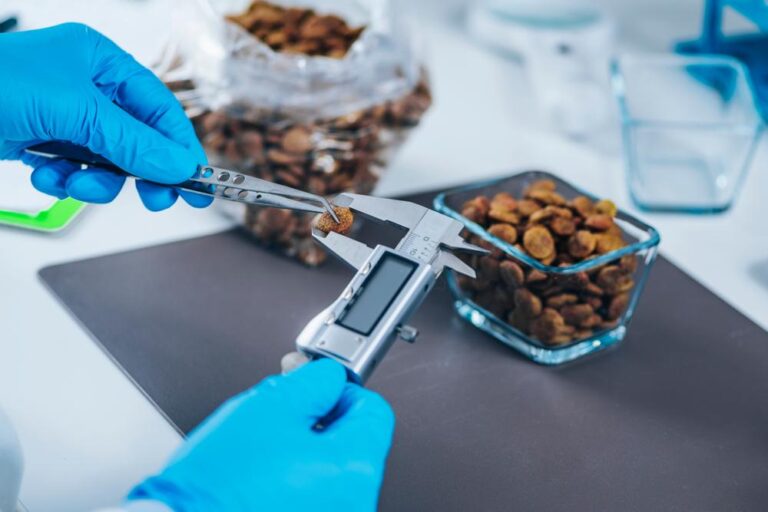 Chocolate certification standards are reshaping how cacao is evaluated worldwide