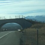 Finland Wildlife Crossings Reduce Elk and Deer Road Accidents