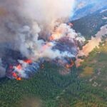 Human-Caused Climate Change Made Spain and France Wildfires More Likely, Scientists Say