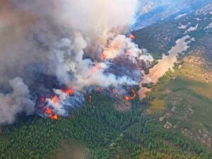 Read more about the article Human-Caused Climate Change Made Spain and France Wildfires More Likely, Scientists Say