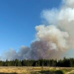 Belgium Wildfire Becomes Country’s Largest on Record as Flames Move Toward Germany