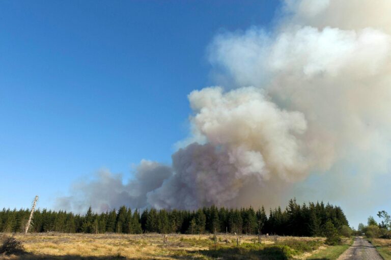 Belgium Wildfire Becomes Country’s Largest on Record as Flames Move Toward Germany