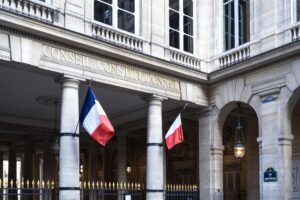 Read more about the article France Social Media Ban for Under 15s Blocked by Constitutional Council
