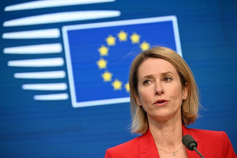 11 EU Countries Push to End Foreign Policy Vetoes